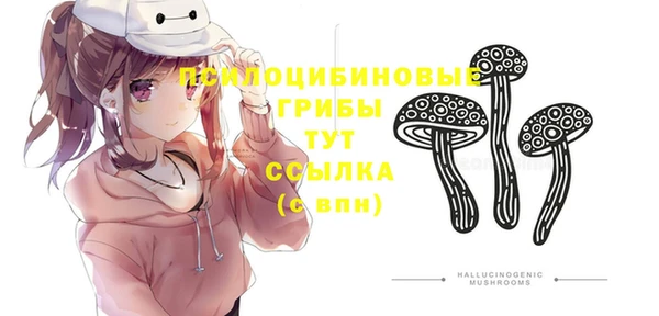 хмурый Алексеевка