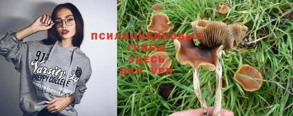 бошки Алексин