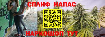ПСИЛОЦИБИНОВЫЕ ГРИБЫ Новокубанск