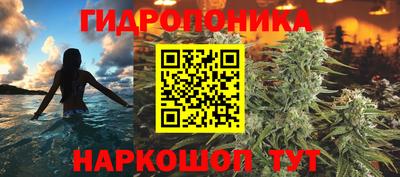 ПСИЛОЦИБИНОВЫЕ ГРИБЫ Новокубанск
