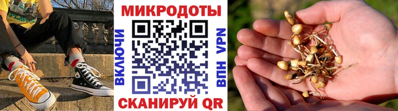 Псилоцибиновые грибы Psilocybine cubensis  Серов 