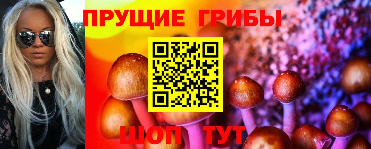 Серов  Псилоцибиновые грибы мицелий  Вход с VPN 