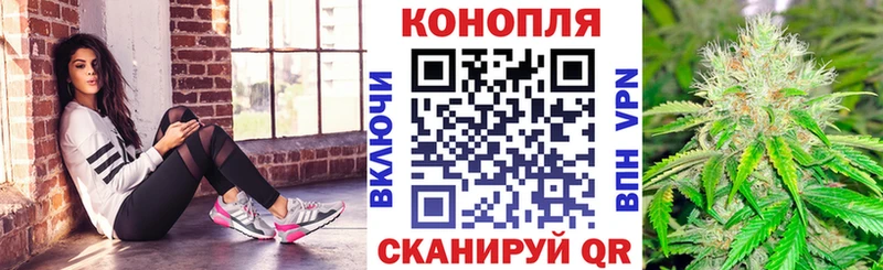Бошки марихуана сатива  как найти закладки  omg маркетплейс  Серов 